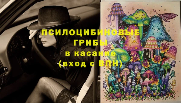 таблы Богданович