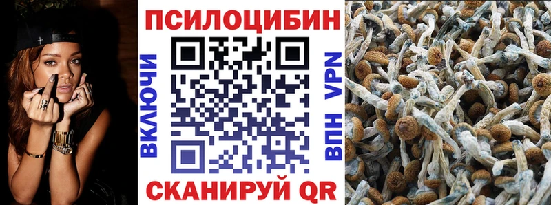 Галлюциногенные грибы мицелий  где купить наркоту  KRAKEN ссылка  Карпинск 